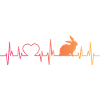 Rabbit Sunset Herzschlag Hase