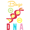 Bingo