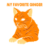 Tabby Katze
