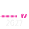 Baby 2027