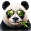 Cool Panda