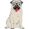 Lustiger Mops mit großer Nerd-Brille