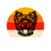 Team Yorkshire Terrier