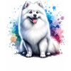 Spitz Zwergspitz Geschenk