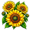Sonnenblumen Pracht