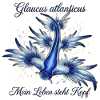 Glaucus Atlanticus - Mein Leben steht Kopf