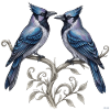 Blue Jays Resting Branch Design.