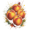 Pfirsichfrüchte Sommer Spritzkunst