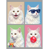 Katzen Türkisch Angora Katze