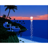Beach sunset
