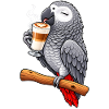Graupapagei mit Latte Macchiato