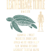 Leatherback Turtle Fakten Tierrekord