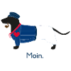 Moin Hund Matrose