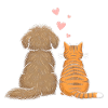Hund und Katze Sterne beobachten