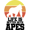 Affe Retro Motto