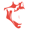 Wütender Skull