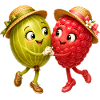 Himbeere und Stachelbeere