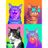 Katzen Graue Tabby Katze