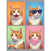 Katzen Orange Tabby Katze