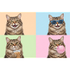 Katzen Graue Tabby Katze