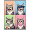 Katzen Graue Tabby Katze
