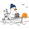 Möwe auf Boot im Sonnenuntergang