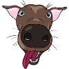 Verspielter Hund