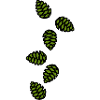 Tannenzapfen Symbol