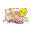 Tweety_lunchbox