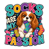 Kavallerier King Charles Spaniel