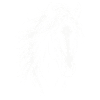 Pferd, Pferdekopf, Pferdebesitzer, Pferdeliebhaber