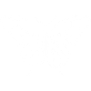 Schmetterling_weiss