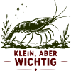 Klein, aber Wichtig Garnelen-Motiv