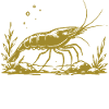 Goldene Garnele mit Botschaft