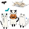 Katzen Halloween