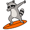 Waschbär Surf-Charme