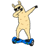 Lama-Dab auf Hoverboard