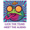 Trippy Musikfestival Lick The Toad