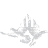 Made in Heaven