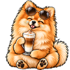 Süßer Zwergspitz mit Latte Macchiato