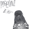 Pigeon!