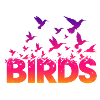 Vögel 