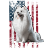 German Spitz US Spitz Zwergspitz
