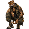 Drop Wild Rohan