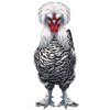 Holländer Haubenhuhn 