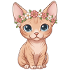 Sphynx Katze