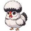 Holländer Haubenhuhn 
