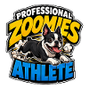 Boston Terrier