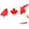 Take Ontario Graffiti Flag