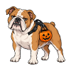 Bulldogge trägt einen Kürbis-Bonbon-Eimer